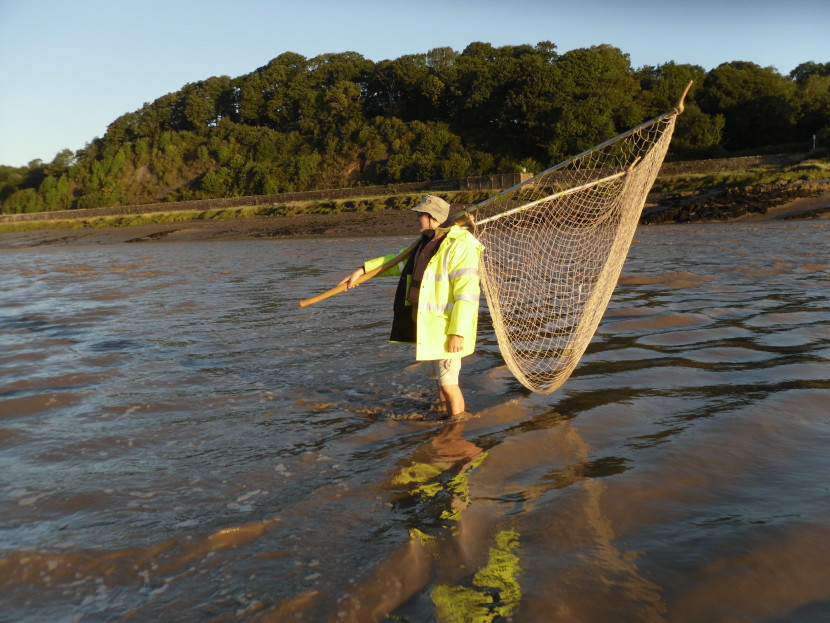Lave netting